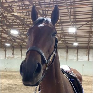 Meet your Posher, Elizabeth